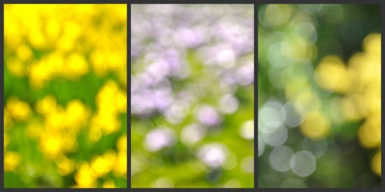 collage of bokeh from spring flowers