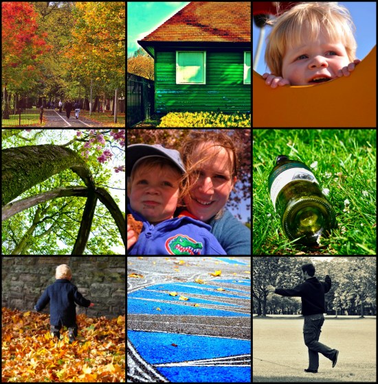 Meadows collage Edinburgh Meadows