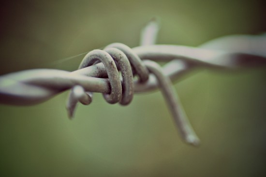 barbed wire macro photography