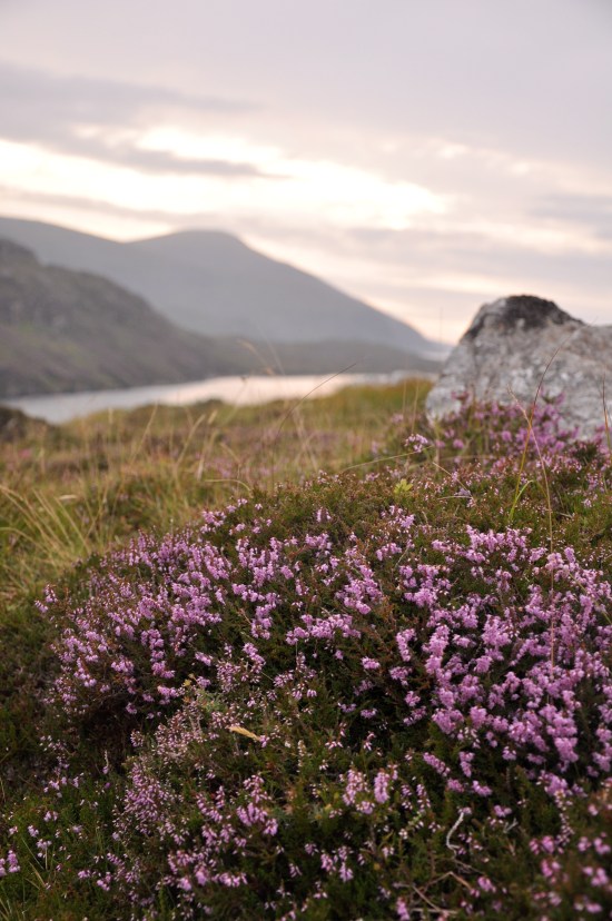 Isle of Harris Tarbert, Isle of Harris