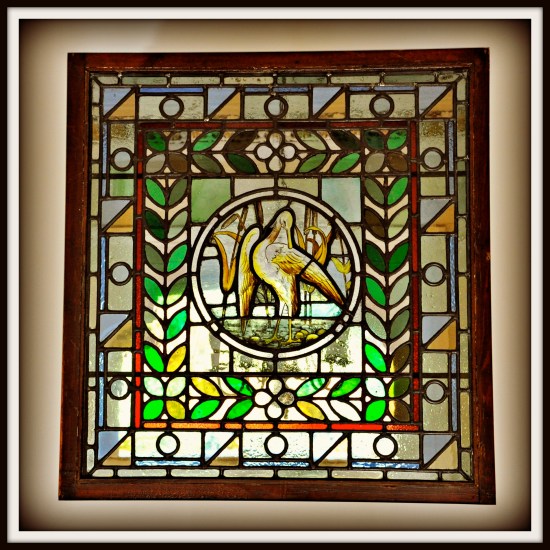 stained glass window with bird