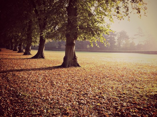 Harpenden Hertfordshire