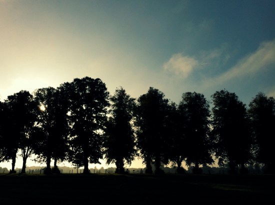autumn morning