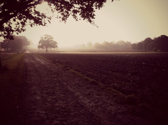 early morning light