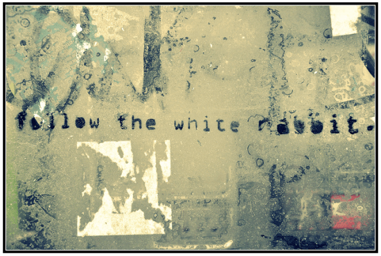 street art follow the white rabbit