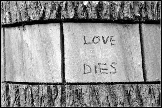 love never dies optimistic street art