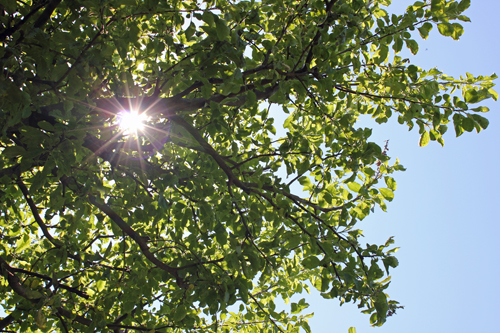 Sky gazing Chris Mosler Thinly Spread photography