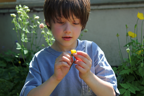 Inside a flower bud Chris Mosler Thinly Spread photography