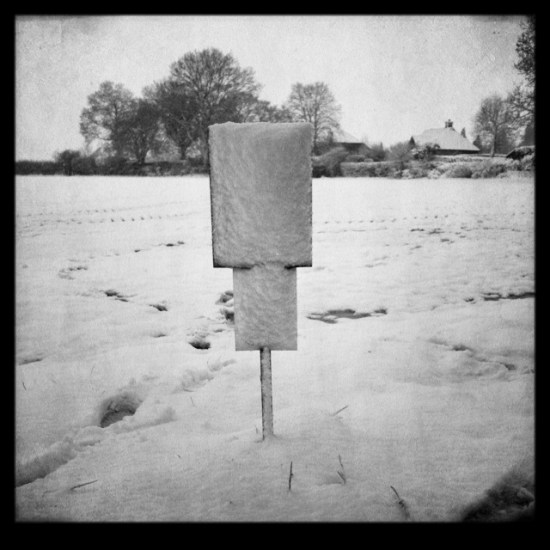 Rothamsted Park in snow