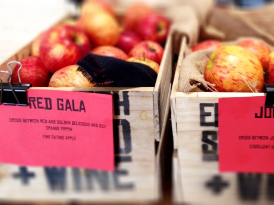 Elizabeth Street Food and Wine Hobart