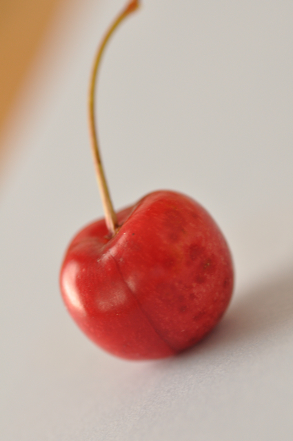 Fresh cherries Tasmania