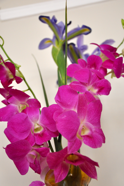 Pink and purple flowers