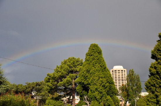 Rainbow Hobart Tasmania