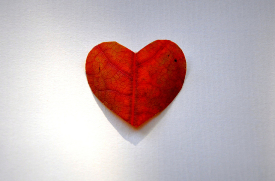 heart leaf