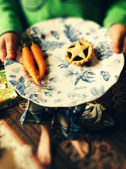 carrots for Santas reindeer