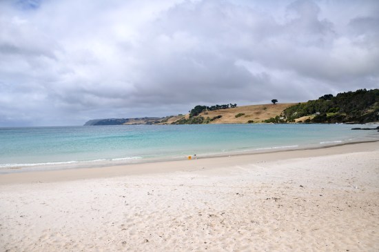 Boat Harbour Tasmania