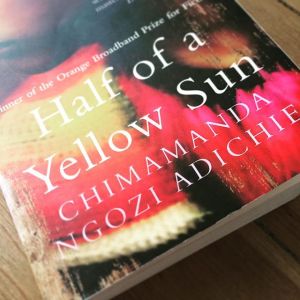 Half of a Yellow Sun