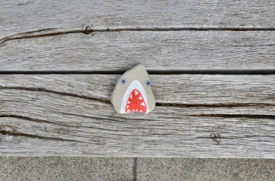 Rock painted like a shark on a wooden bench