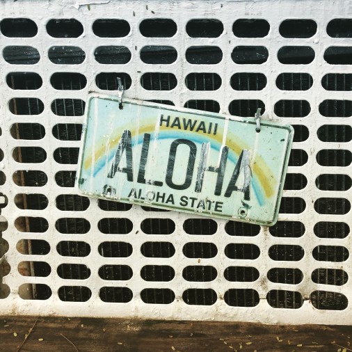 Hawaii - The Aloha State - licence plate