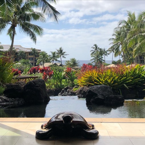 View from the lobby at Koloa Landing Resort Poipu Kauai
