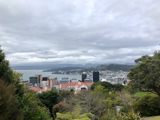 View of Wellington from Botanic Gardens