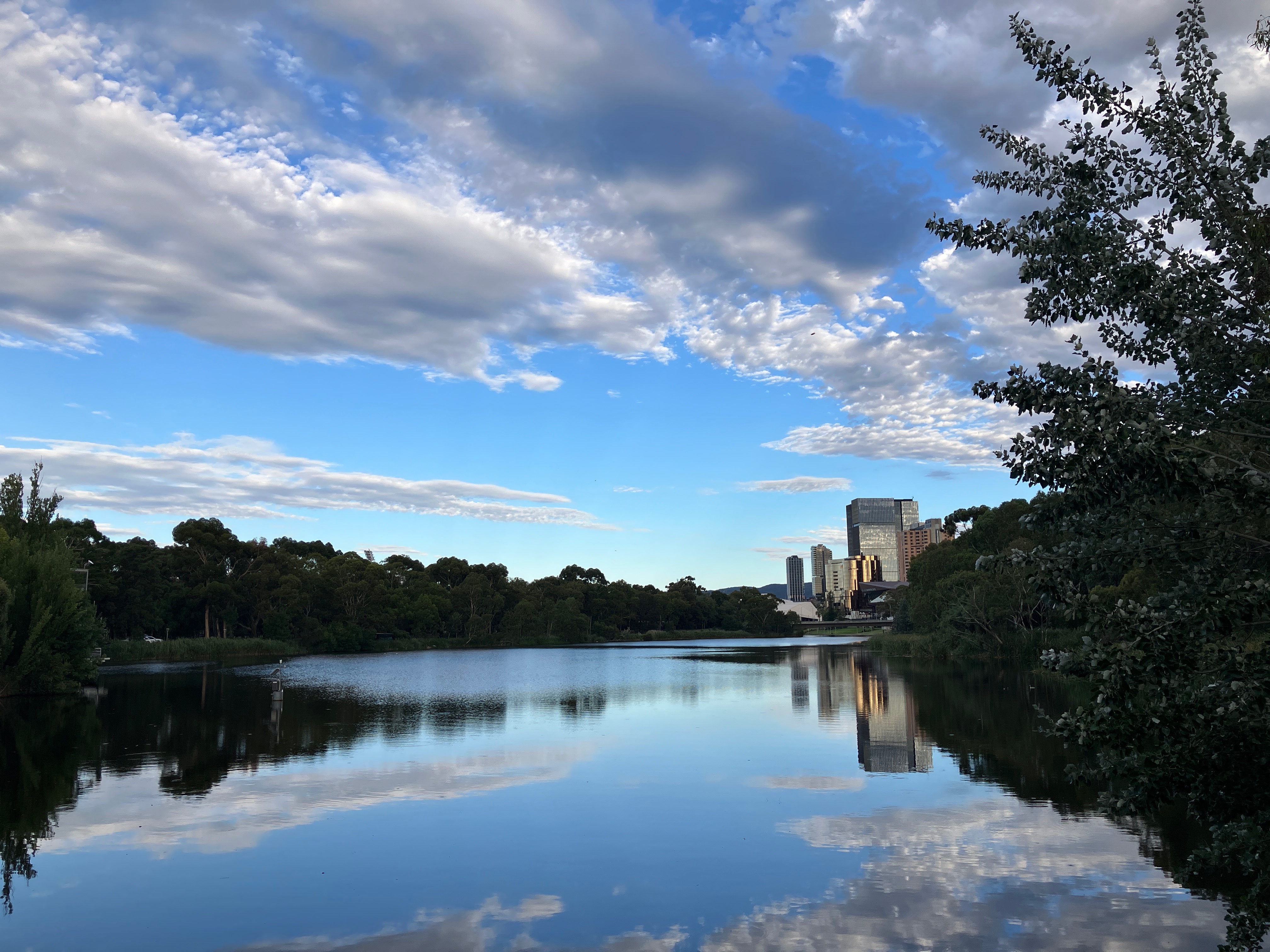 3 days and 50,000 steps in Adelaide « Dorkymum | Stories from Tasmania