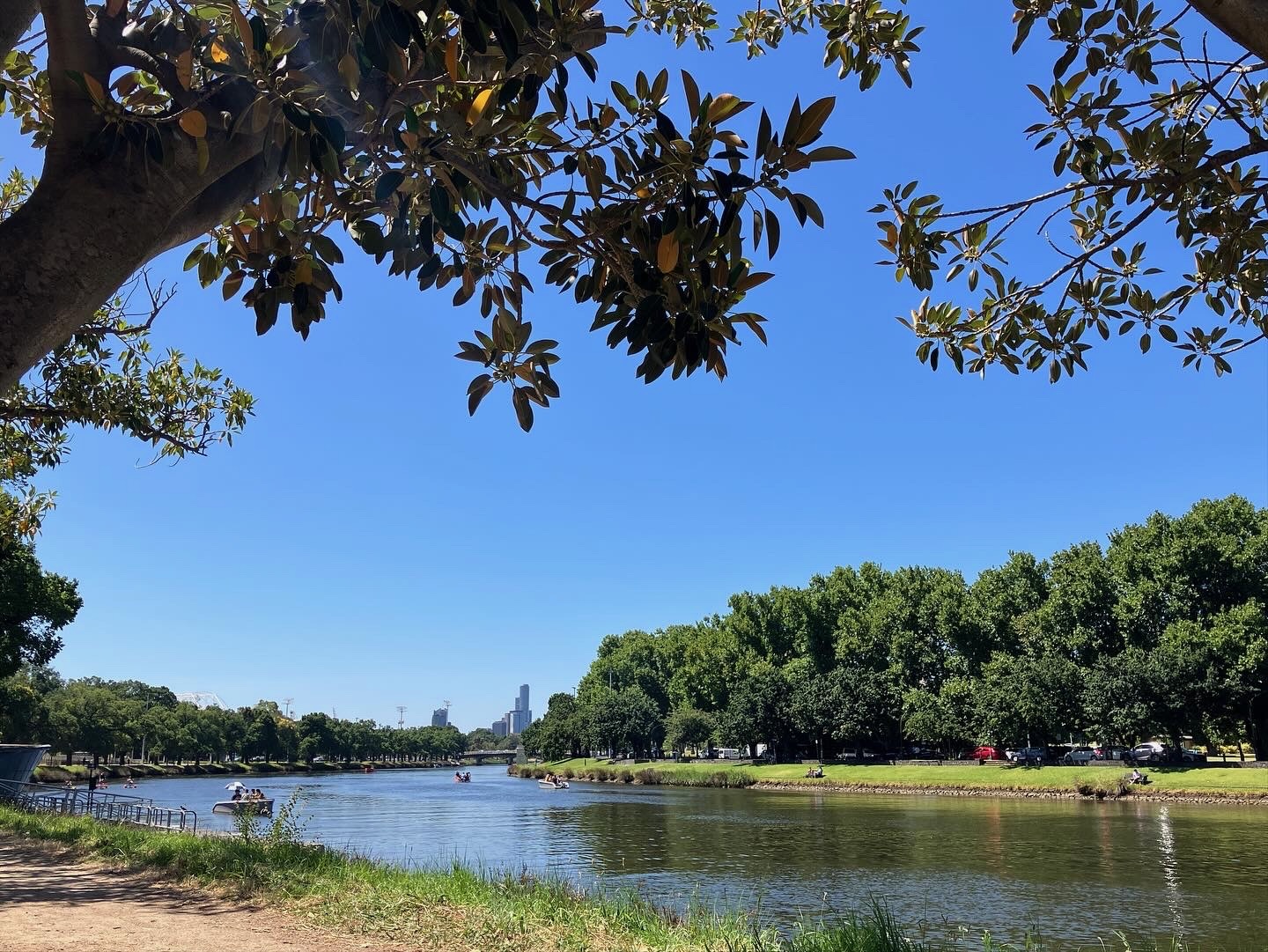 a pretty scene of the Birrarung/Yarra river