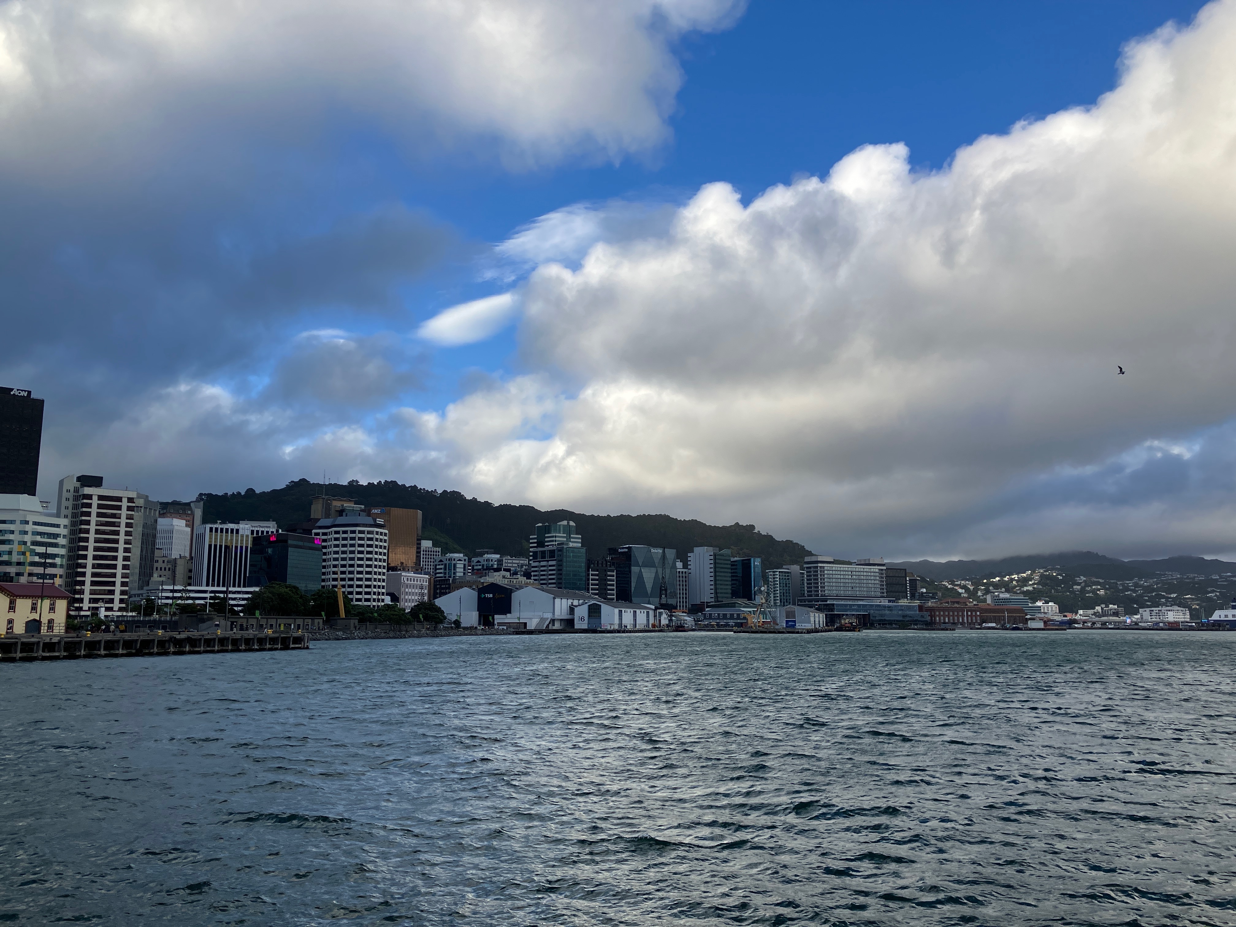 Wellington Harbour New Zealand