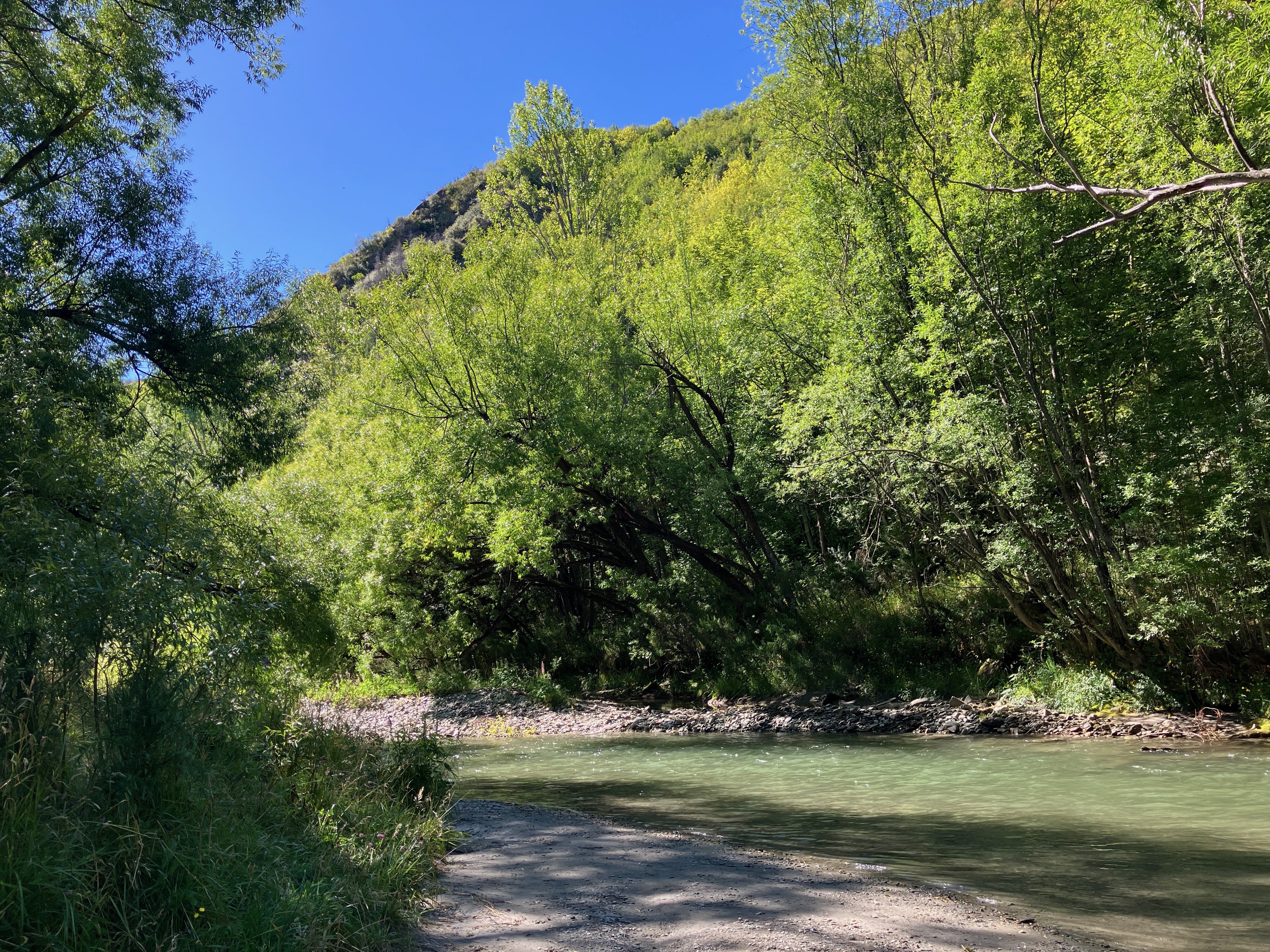 Photo of a river with vibrant green trees on the banks and a blue sky above, taken in Arrowtown New Zealand