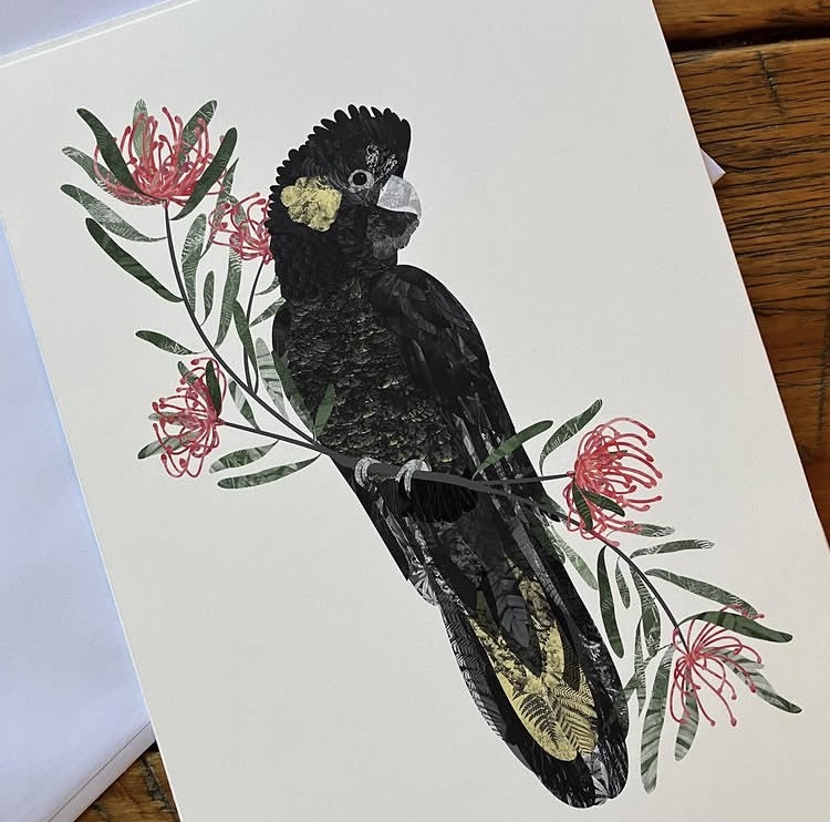 Bec Adamczewski black cockatoo print
